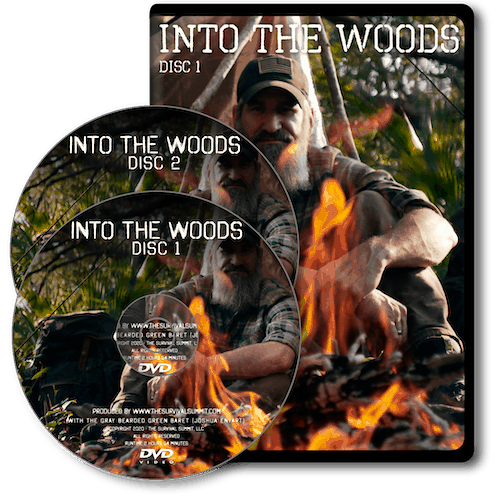 Into-the-Woods-DVD-Jewel
